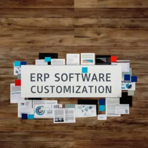 ERP Software Customization
