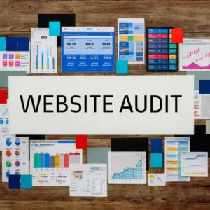 Website Audit (Basic)